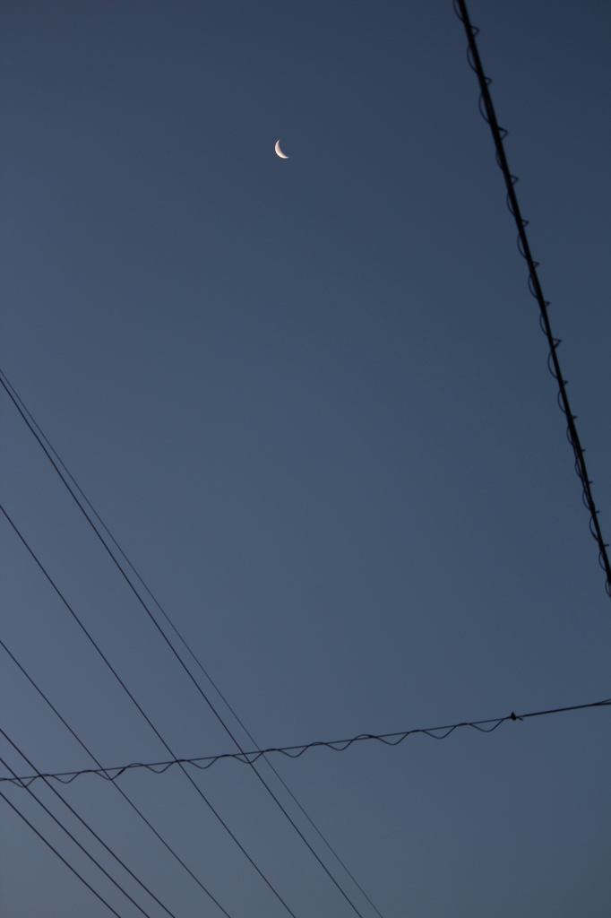 朝の三日月