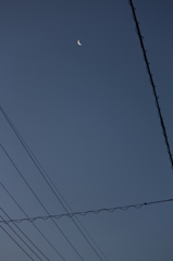 朝の三日月