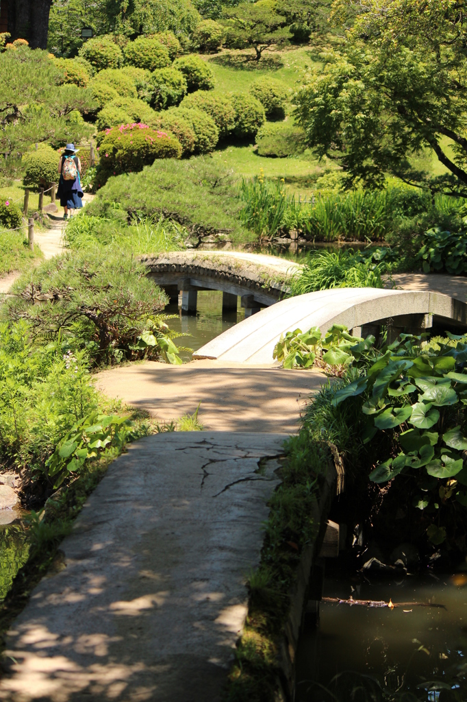 へこへこの橋＠縮景園