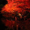 縮景園