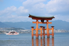 おおきいなあ