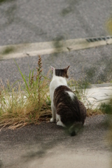 番してる