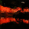 縮景園