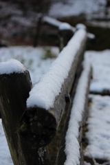 初雪