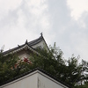 雲行き怪しい