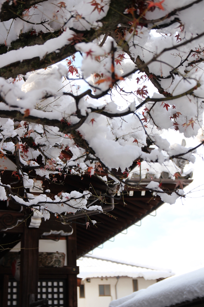雪の八坂庚申堂