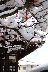雪の八坂庚申堂