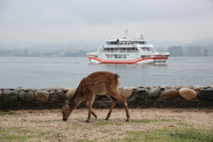 バンビと船