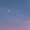 月