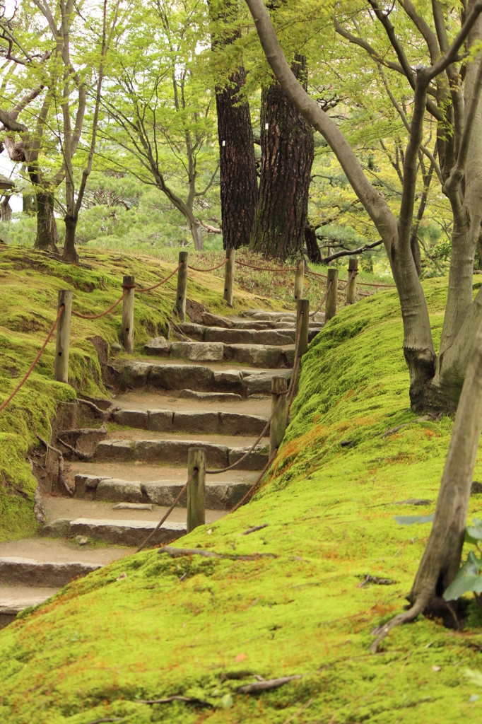 苔の道＠縮景園