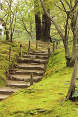 苔の道＠縮景園