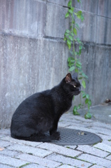 おかあさん