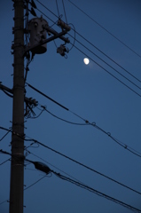 ひさしぶりおつきさま