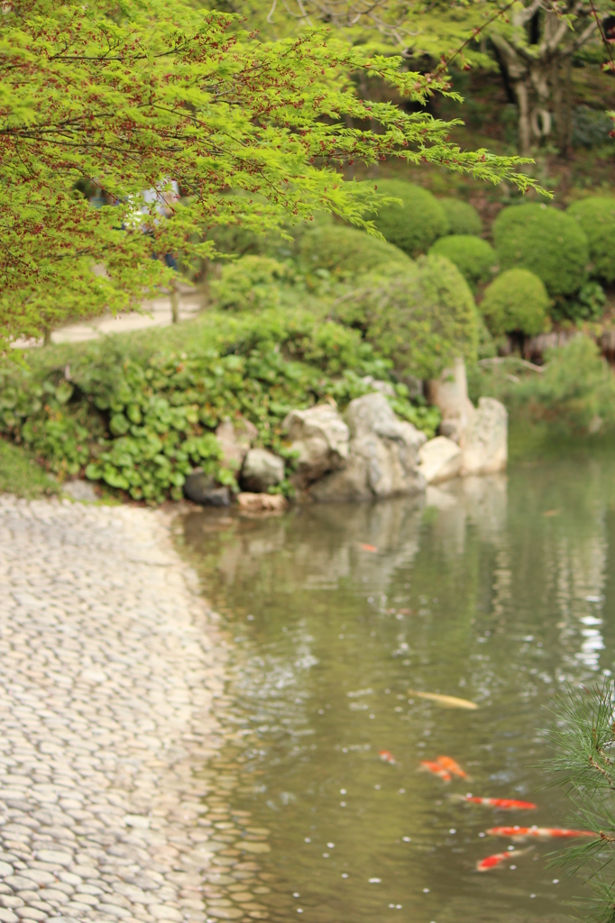 丸い石＠縮景園