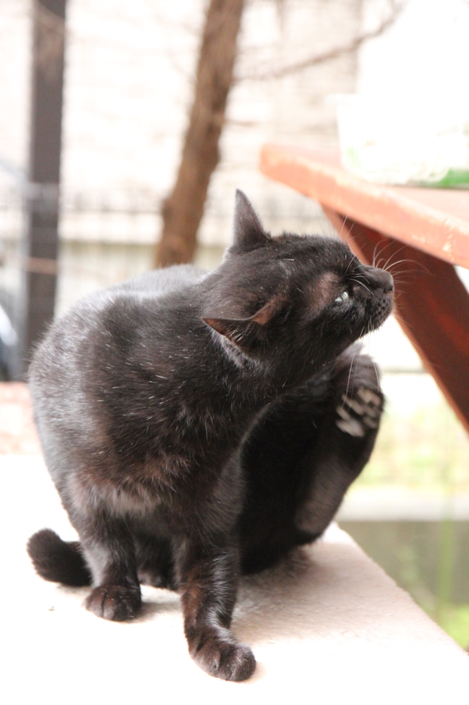 おかあさん