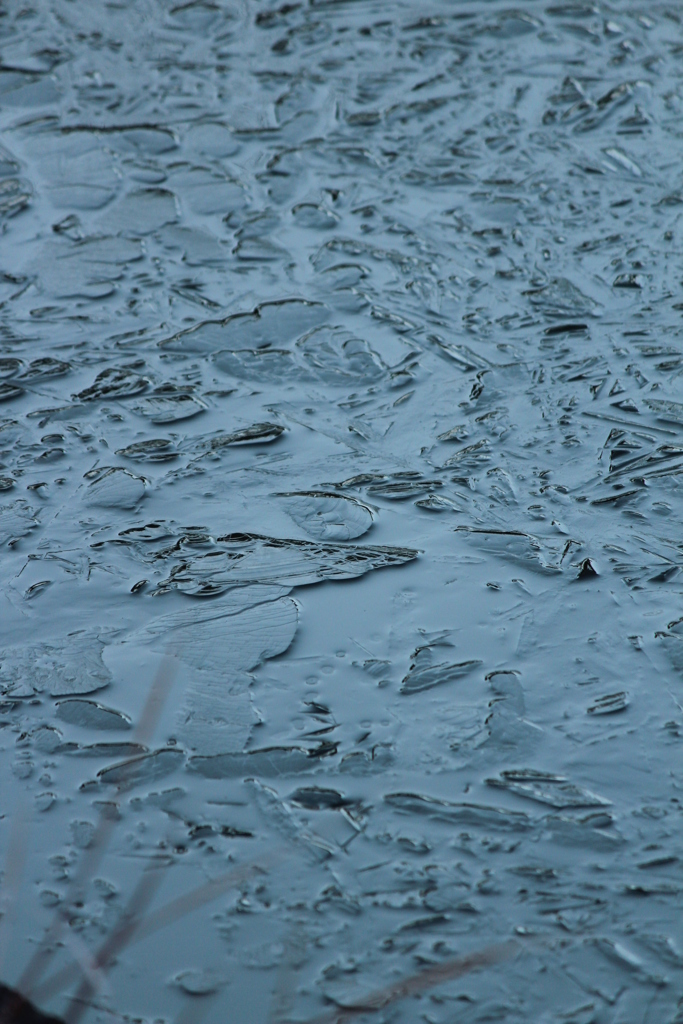 氷