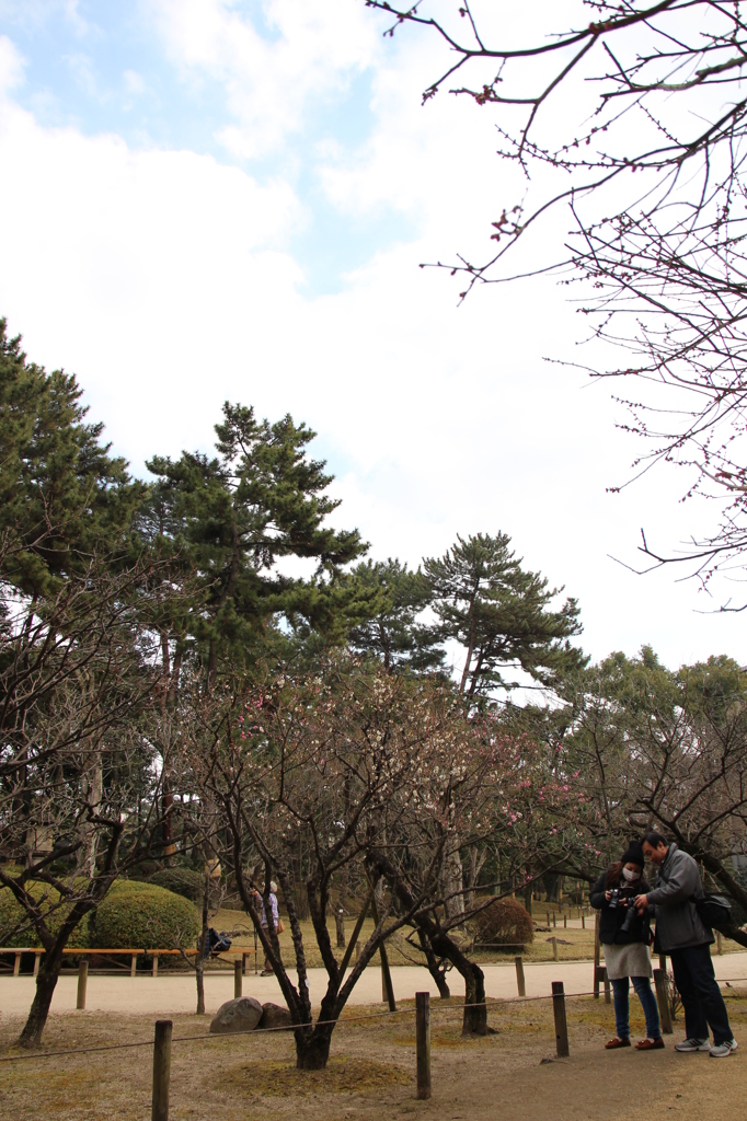 撮影＠縮景園