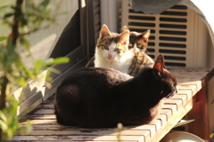 親子