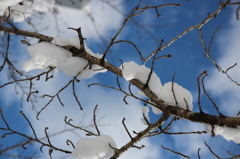 雲も雪も