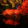 縮景園