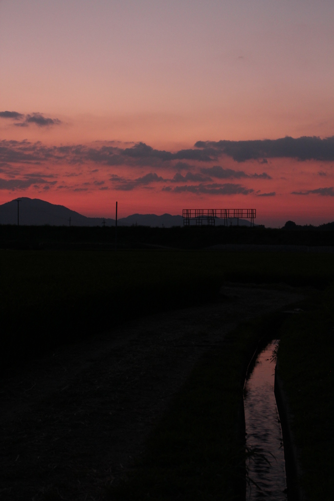 日没