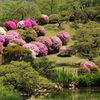 縮景園