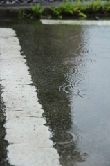 みずたまり
