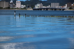 宍道湖