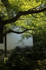 法金剛院