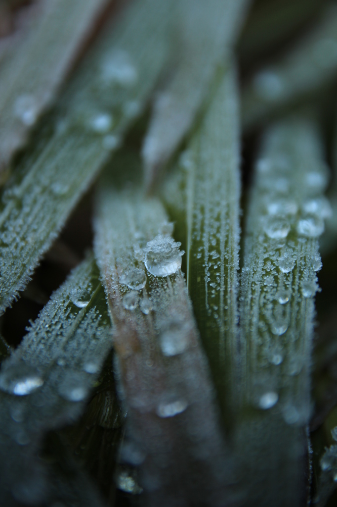 時が止まったみたいに