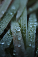 時が止まったみたいに