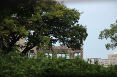 あの影に原爆ドーム あの影に原爆ドーム