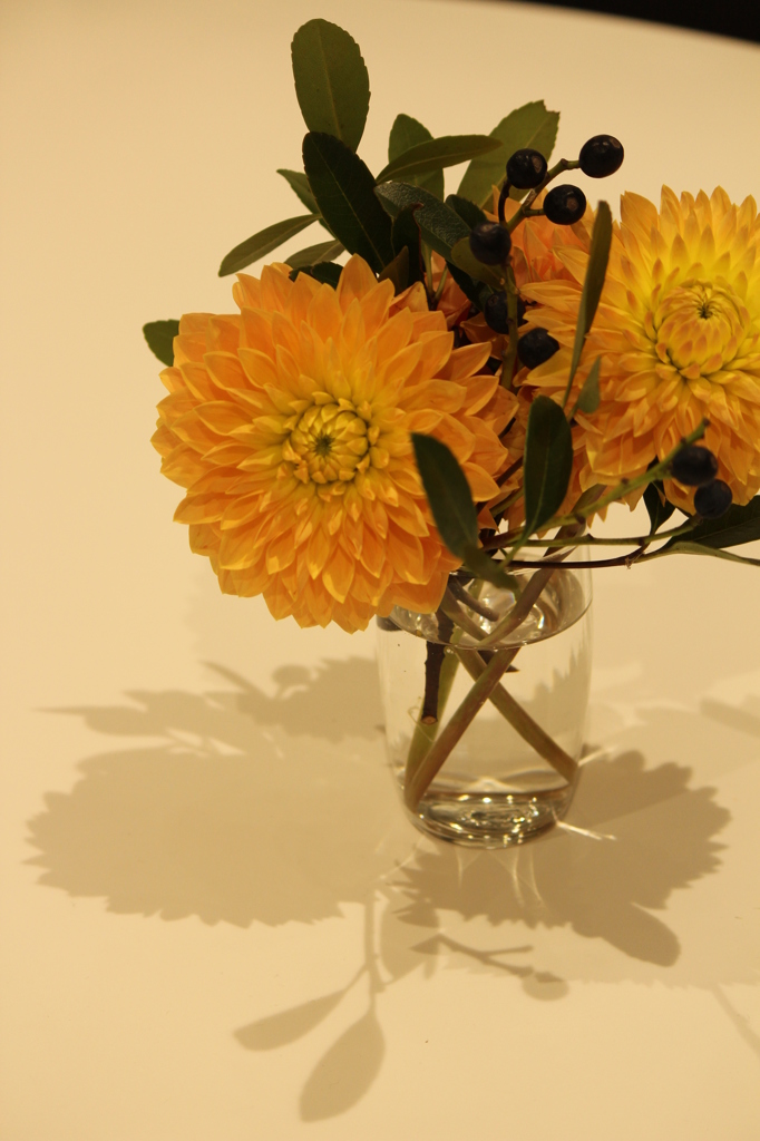 テーブルのはな