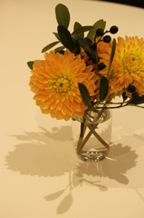 テーブルのはな