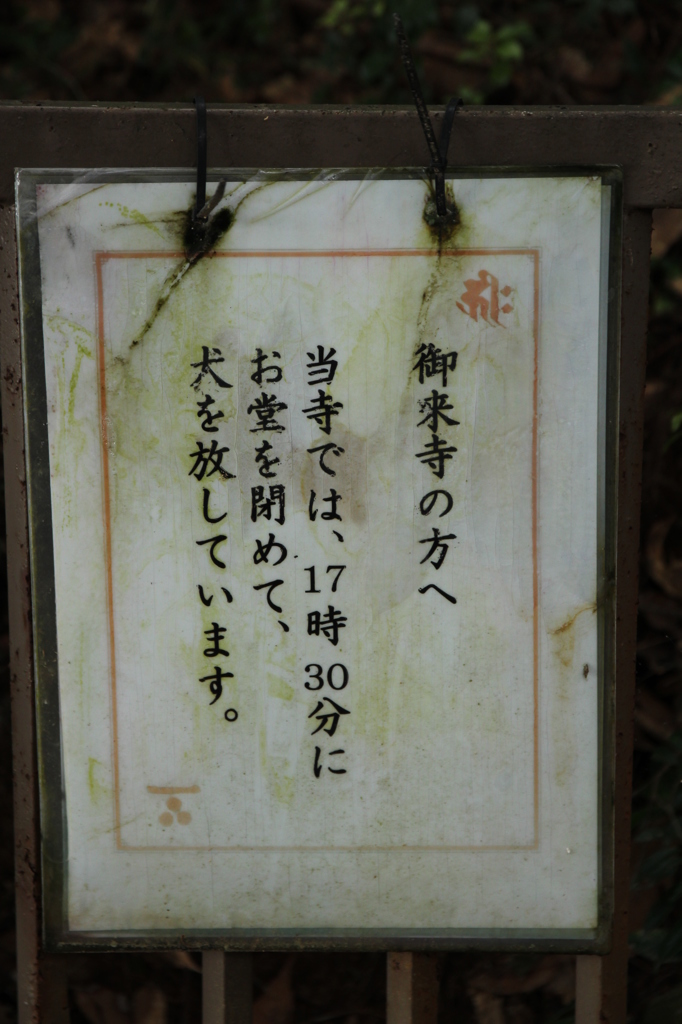 極楽寺