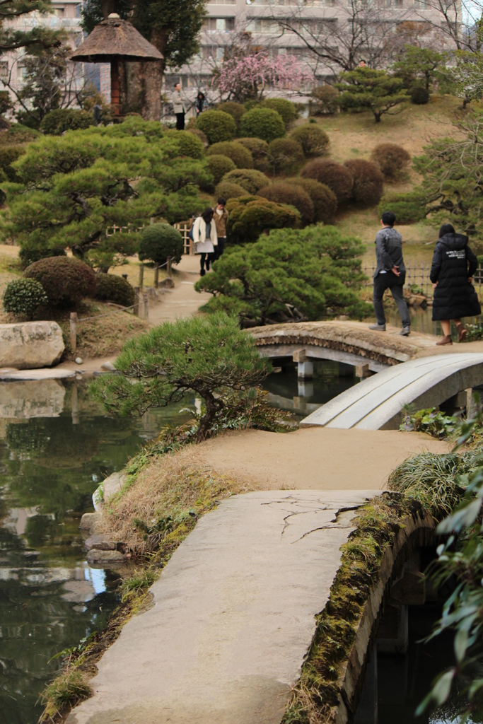 橋