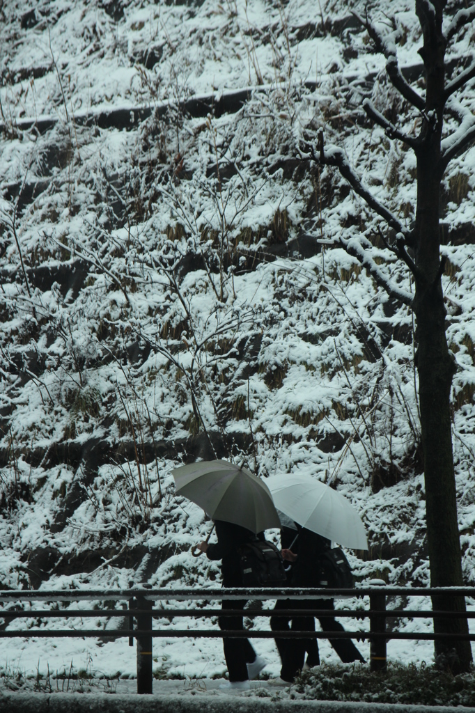 雪の通学　男子