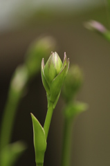 もうちょっと もうちょっと