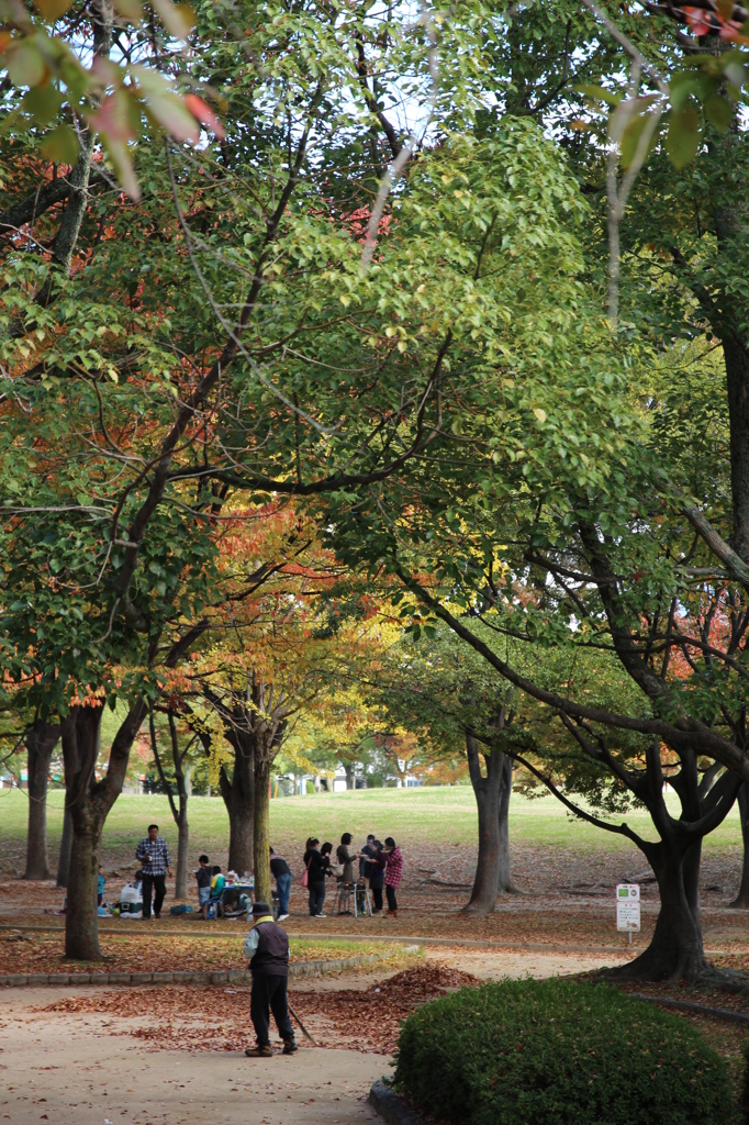 公園