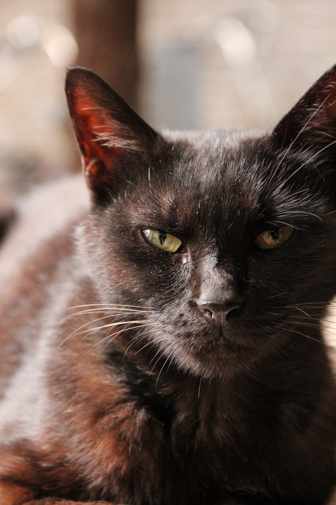 あなたのめのなかに私がいる