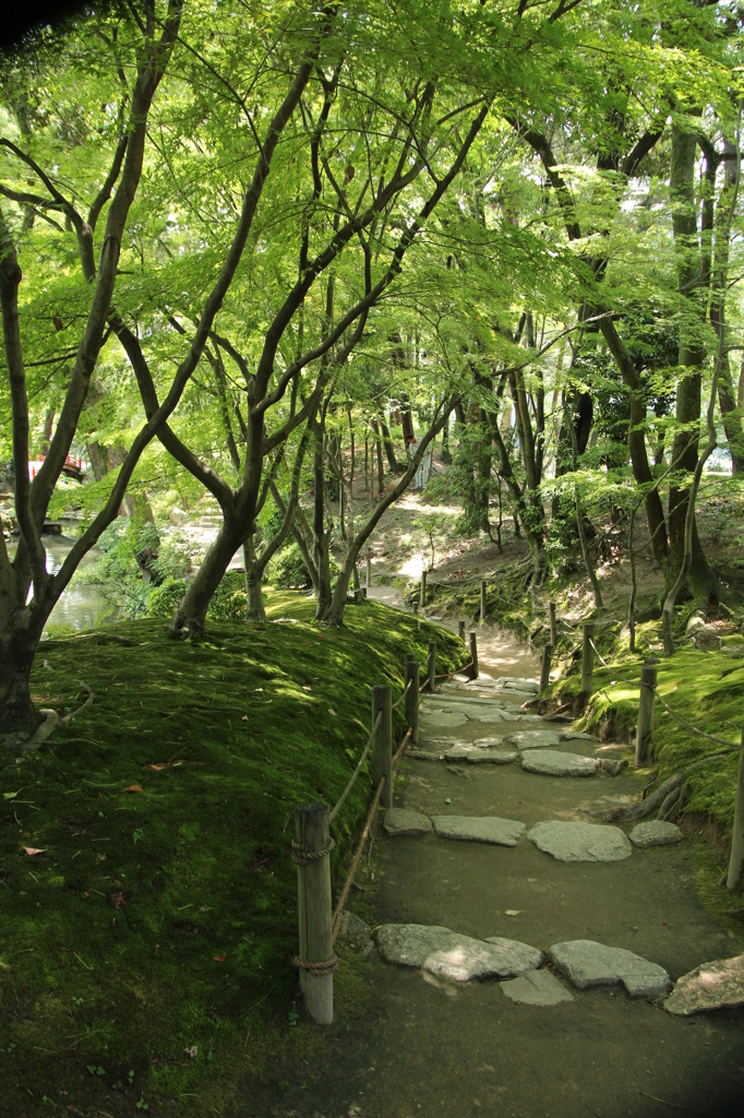小路