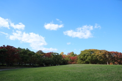 公園 公園