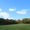 公園