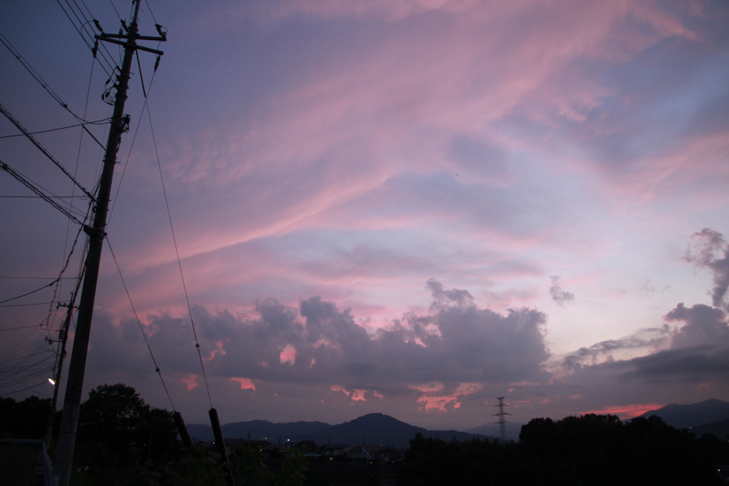 日没