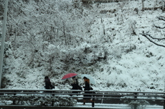 雪の通学