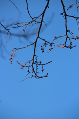 冬の空 冬の空