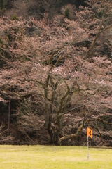 さきはじめ