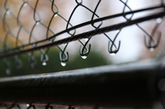 あめあがり あめあがり