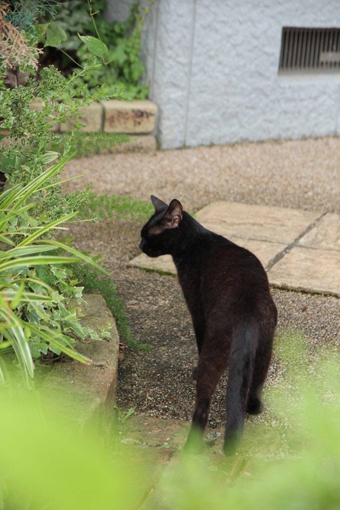 おかあさん