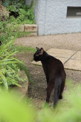おかあさん おかあさん